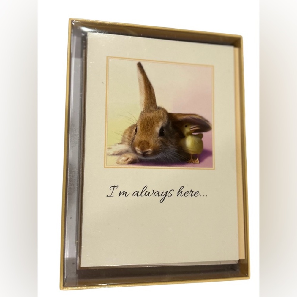 Cute Bunny Greeting Card set